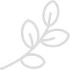 bana yakın çiçekçi küçükçekmece