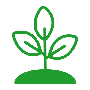 en yakın çiçekçi küçükçekmece